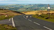 Breathtaking scenery and wonderful wildlife right on your door step