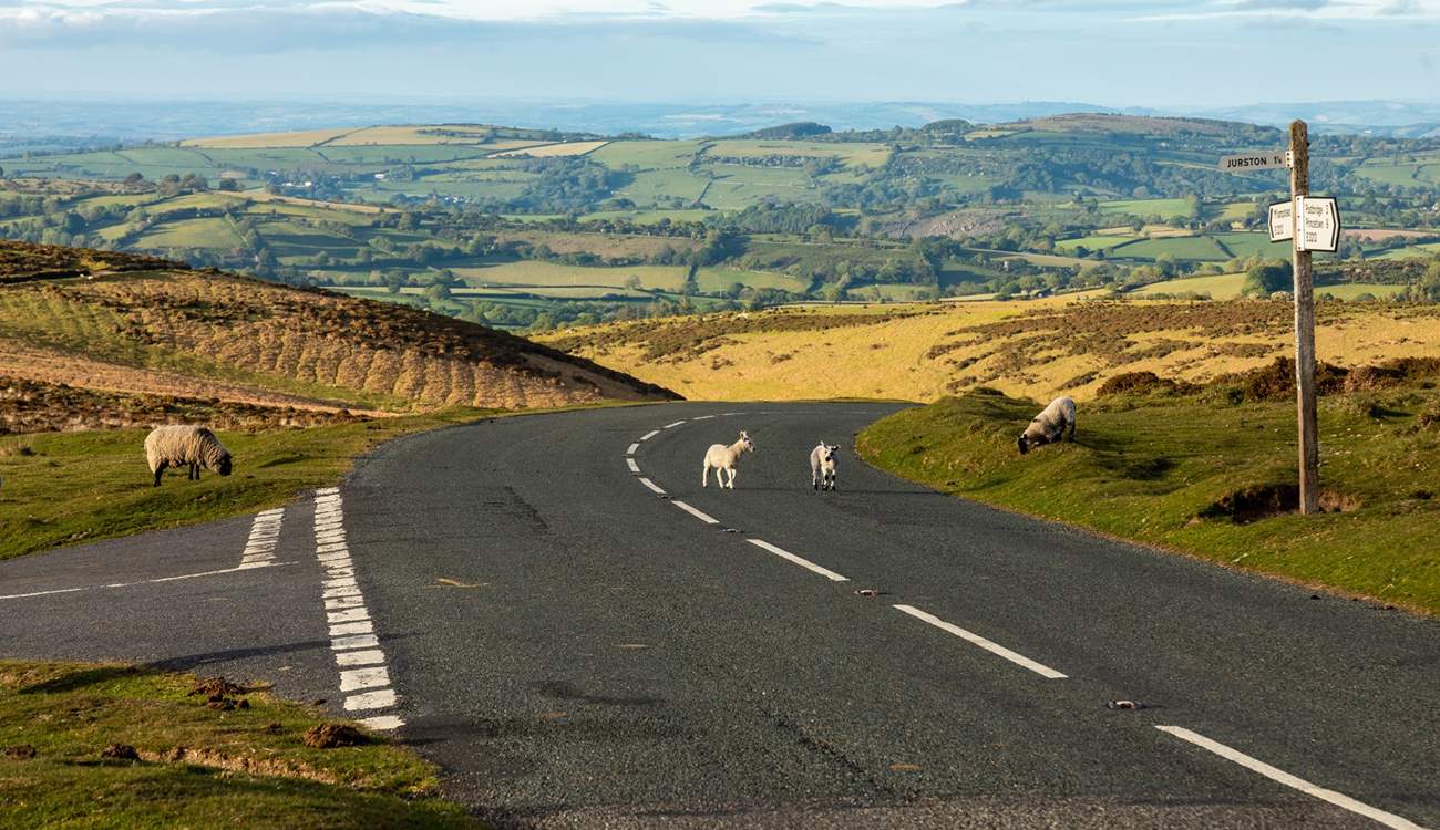 Breathtaking scenery and wonderful wildlife right on your door step