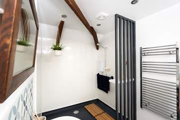 The fabulous shower-room.