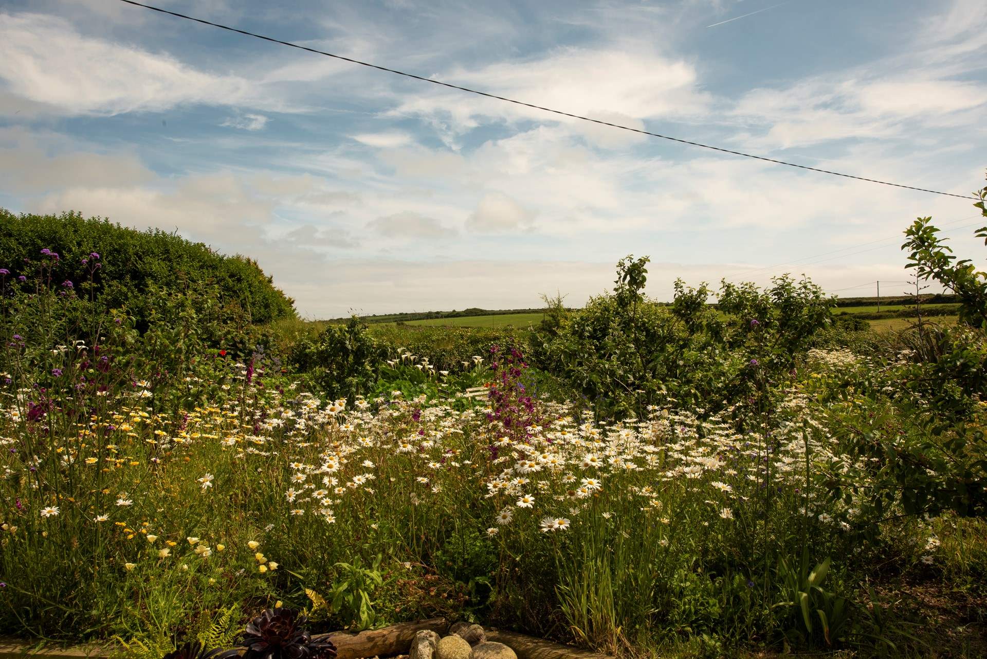 With a view of flowers and fields for miles.