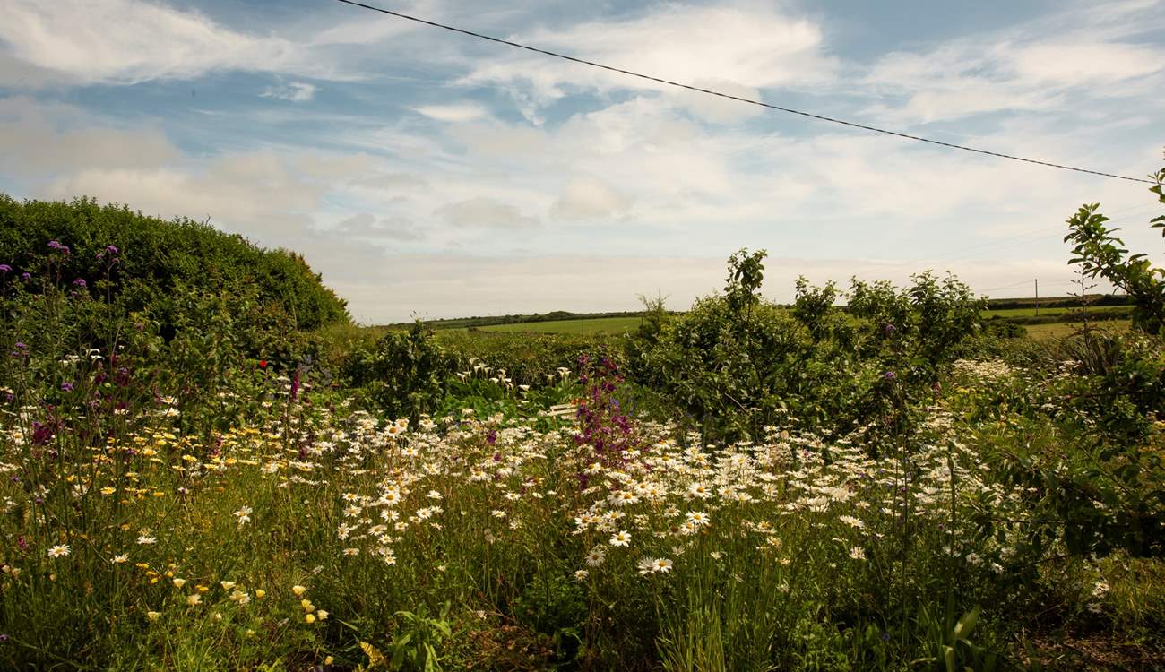 With a view of flowers and fields for miles.