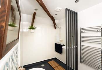 The fabulous shower-room. 