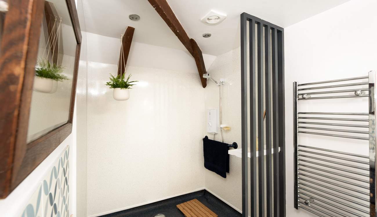 The fabulous shower-room. 