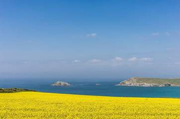 Gorgeous Crantock is definitely worth a visit!