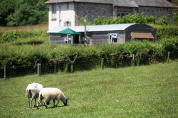 The 'sheep eye' view of the cabin sitting in its own private garden with the owners' stone barn in its own plot behind.