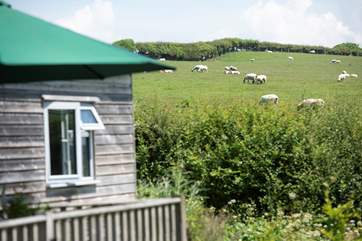 There's a reason this hideaway is called Bo-Peep. Say hello to your neighbours!