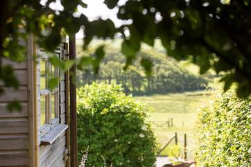 Nothing but green pastures and flowing landscapes surround this little wonder.