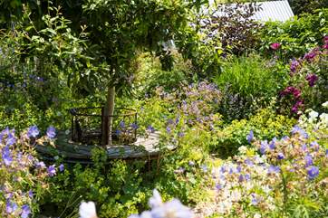 The owners' gardens are just amazing, please feel free to explore.