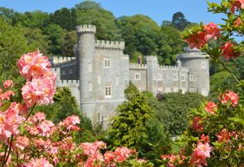 Caerhays Castle and gardens.