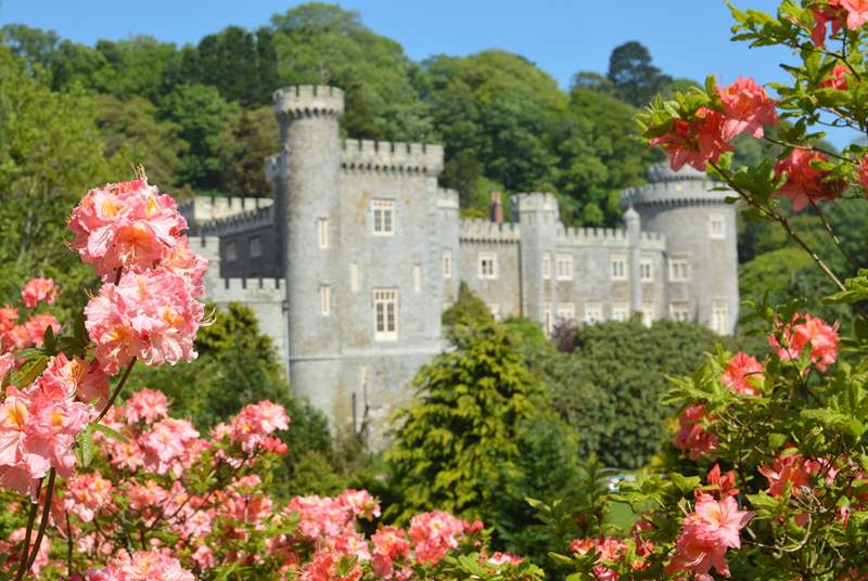 Caerhays Castle and gardens.