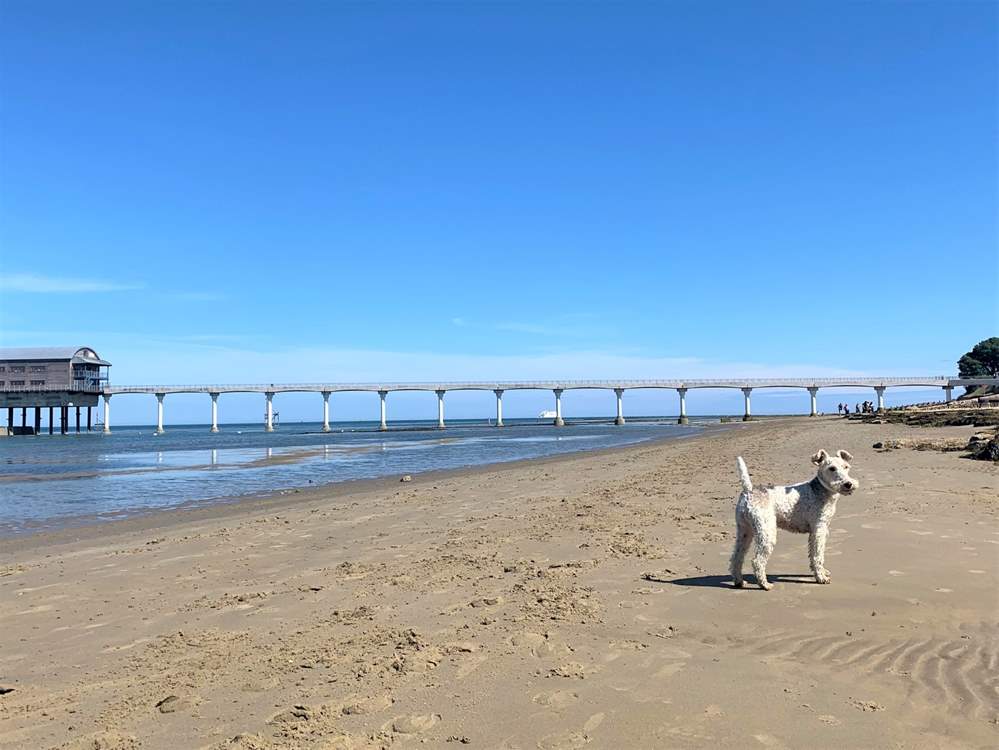 Old Bembridge House is a short walk to the dog friendly Bembridge beach.