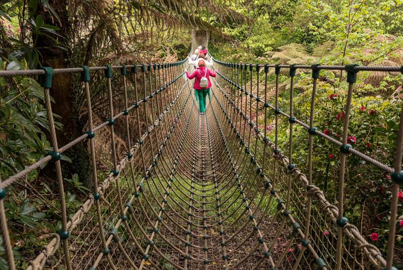 Head to The Lost Gardens of Heligan and explore all that there is to see.