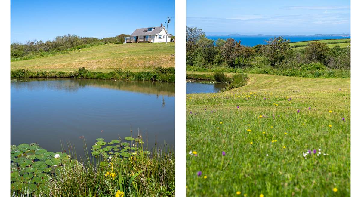 Idyllic location on the Pembrokeshire coast. 