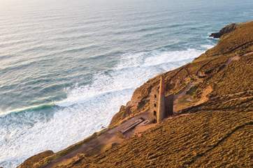 Explore the coast path with your four-legged friend.