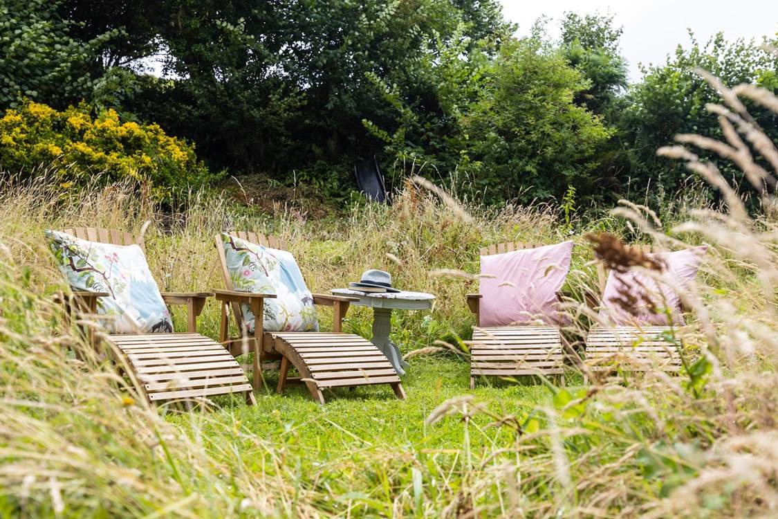 Soak up the sunshine...
