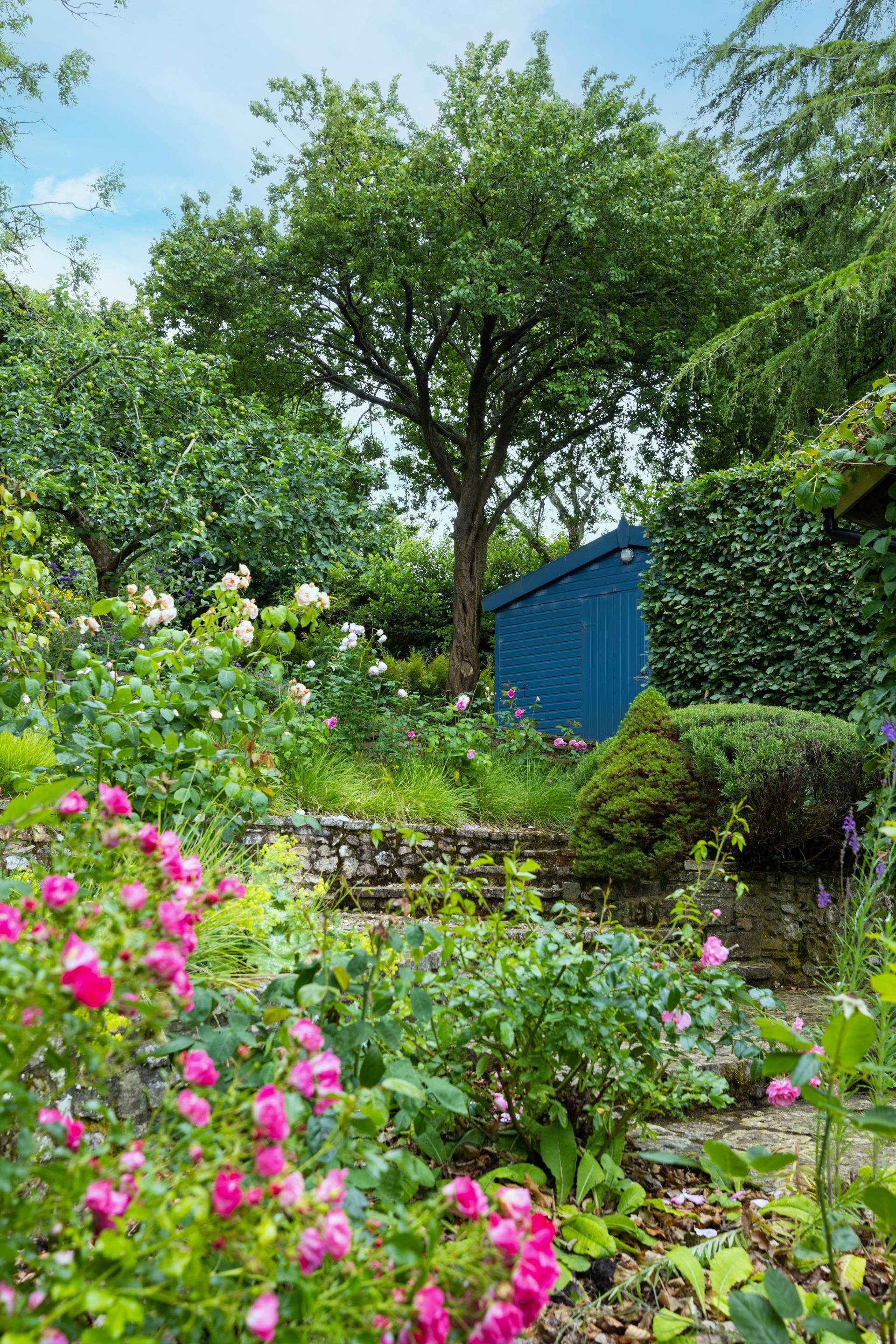 The garden in all its summer glory!