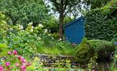 The garden in all its summer glory! - Thumbnail Image