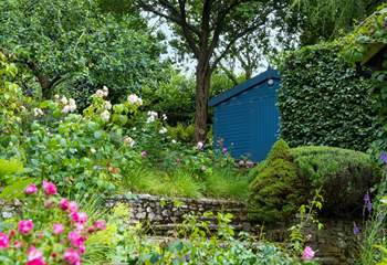 The garden in all its summer glory!