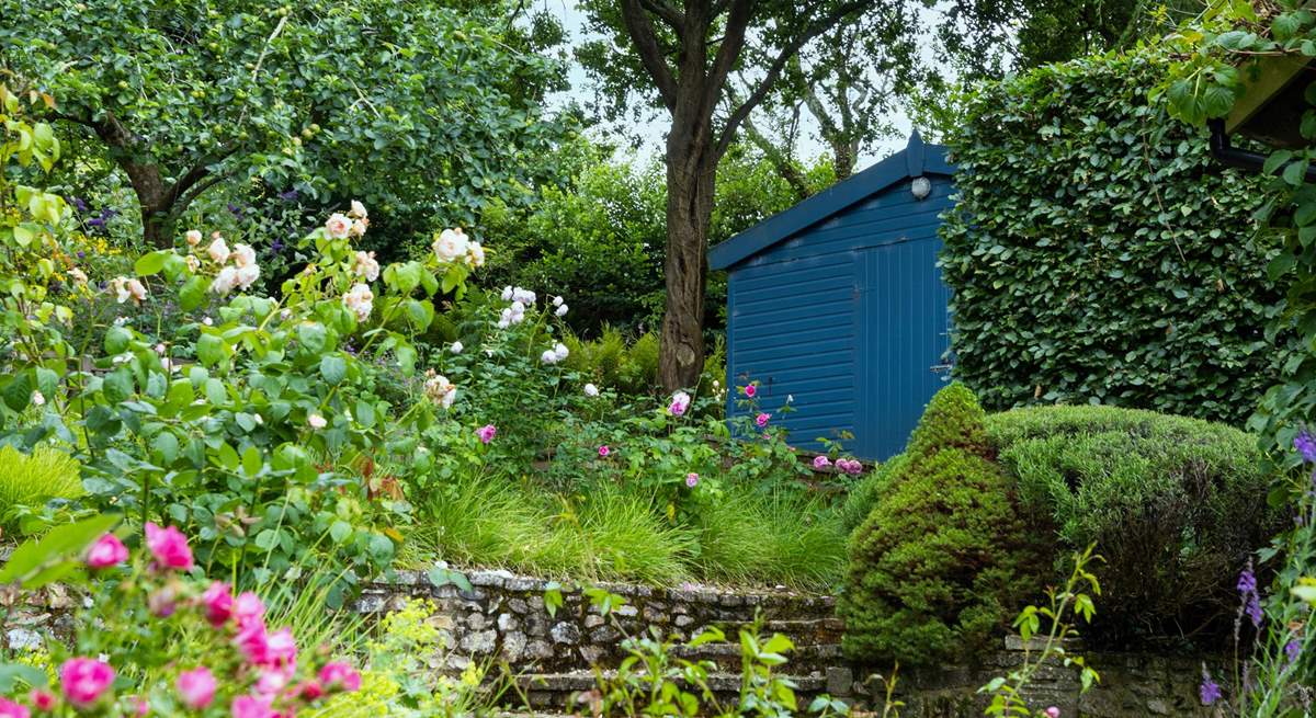 The garden in all its summer glory!