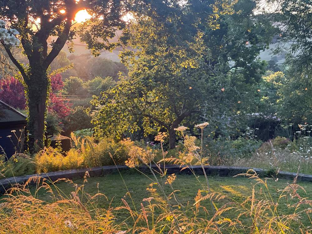 or watch the sun go down.