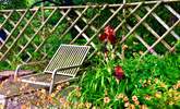 Relax amongst the beautiful blooms. - Thumbnail Image