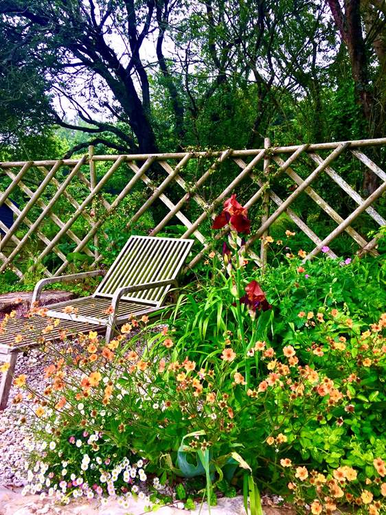 Relax amongst the beautiful blooms.