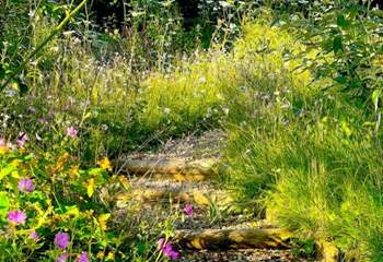 Wander through the tranquil garden...