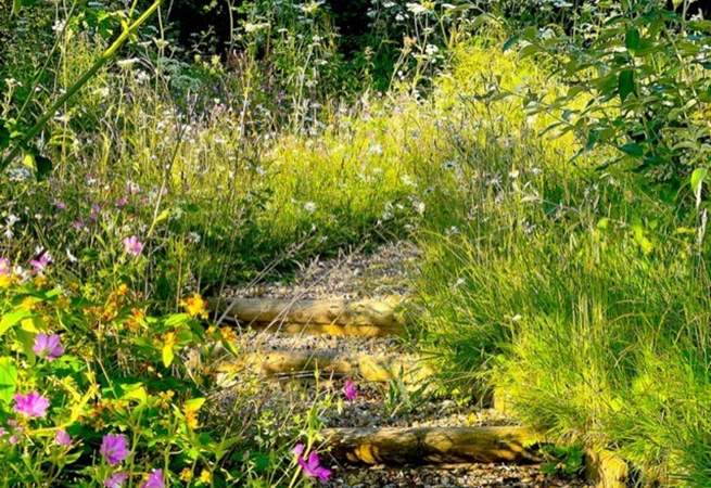 Wander through the tranquil garden...