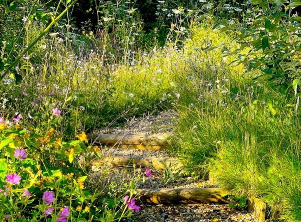 Wander through the tranquil garden...