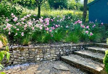 The garden in all its summer glory!