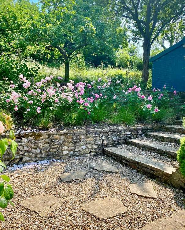 The garden in all its summer glory!