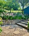 The garden in all its summer glory!
