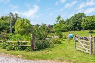 You are welcome to have a wander around the tranquil paradise that surrounds your hideaway.