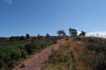 Head up into the Quantock Hills from Dulcie. This 9.5 thousand acre Area of Outstanding Natural Beauty is waiting to be explored.