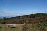 Take a picnic up into the hills and look out across the Bristol Channel to south Wales.