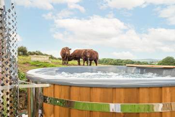 Dungarth has a wood-fired hot tub with views overlooking the countryside and the neighbours.
