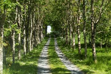 Discover The Dairy up the tree-lined avenue.