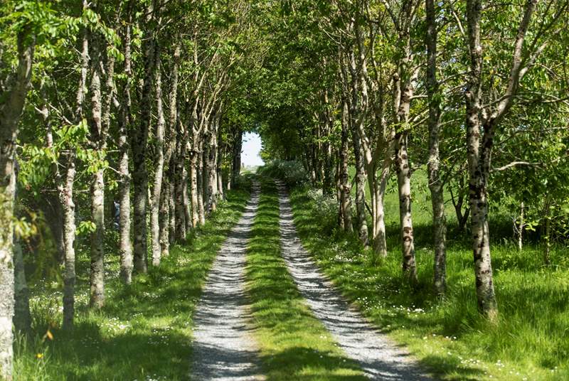 Discover The Dairy up the tree-lined avenue. 