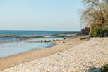 Bembridge has five miles of wonderful beach to explore, and it's all dog friendly too. 