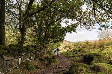 Don't forget to pack the walking boots and explore the surrounding countryside.