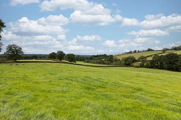 The fabulous views looking over the Devonshire countryside.