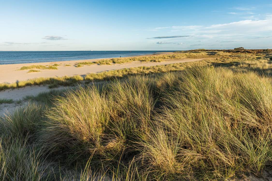 Shell Bay is at the tip of the National Trust owned Studland Peninsula.