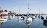 Brixham harbour is home to an array of watercraft. - Thumbnail Image