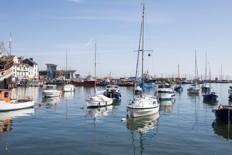 Brixham harbour is home to an array of watercraft.