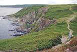 Pick up the coast path for some stunning scenery.