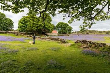 Beautiful Dartmoor.