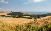 Take a drive along the coast road that winds from Bridport to Weymouth for some spectacular views. - Thumbnail Image