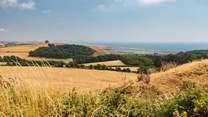 Take a drive along the coast road that winds from Bridport to Weymouth for some spectacular views.