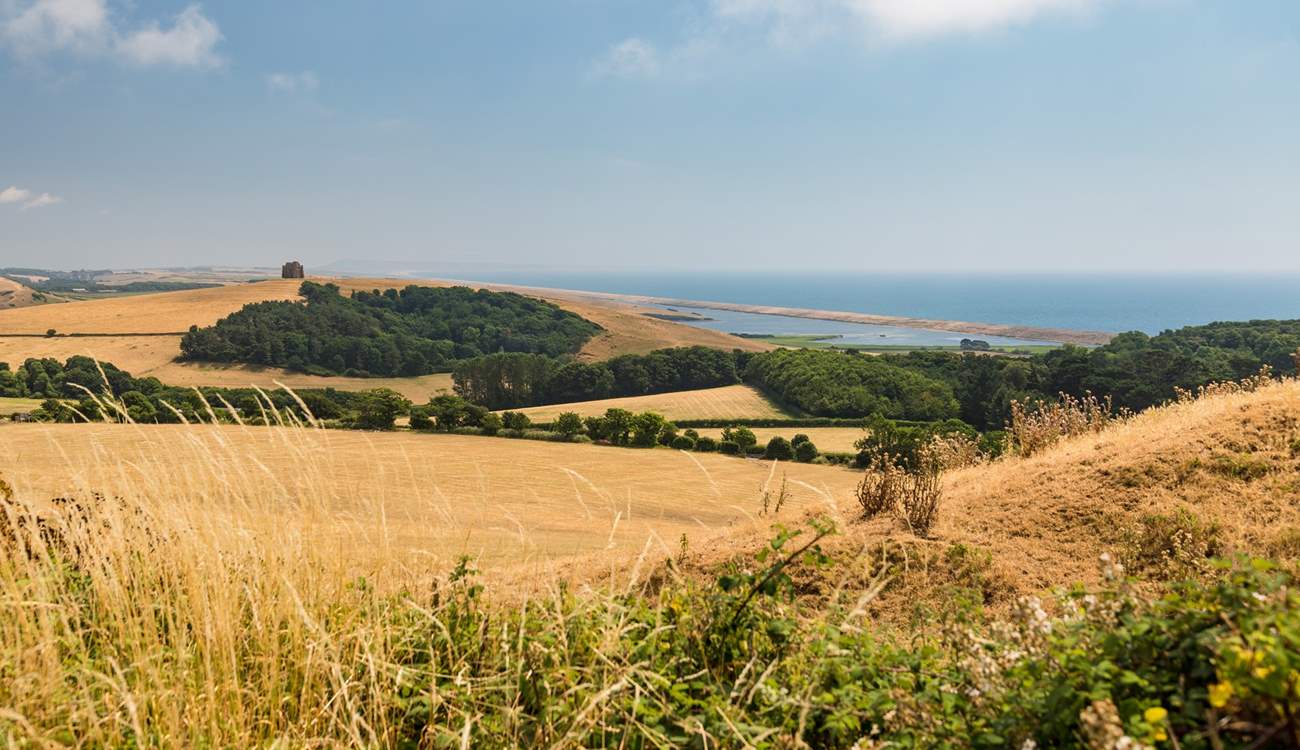 Take a drive along the coast road that winds from Bridport to Weymouth for some spectacular views.