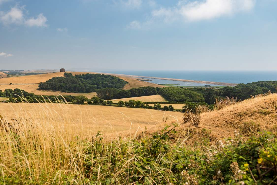 Take a drive along the coast road that winds from Bridport to Weymouth for some spectacular views.